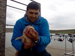 Magura 9 21 - 21 mar.